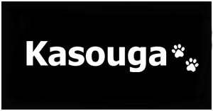 Kasouga logo